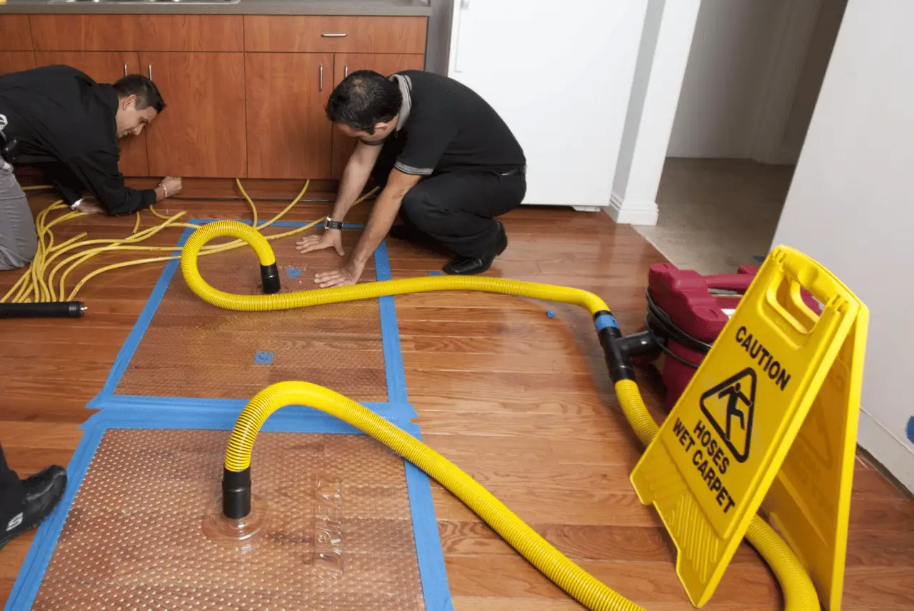 Two workers from a water damage company dry a hardwood floor in Calgary using yellow hoses and taped plastic sheets; a caution sign warns homeowners of wet carpet nearby.