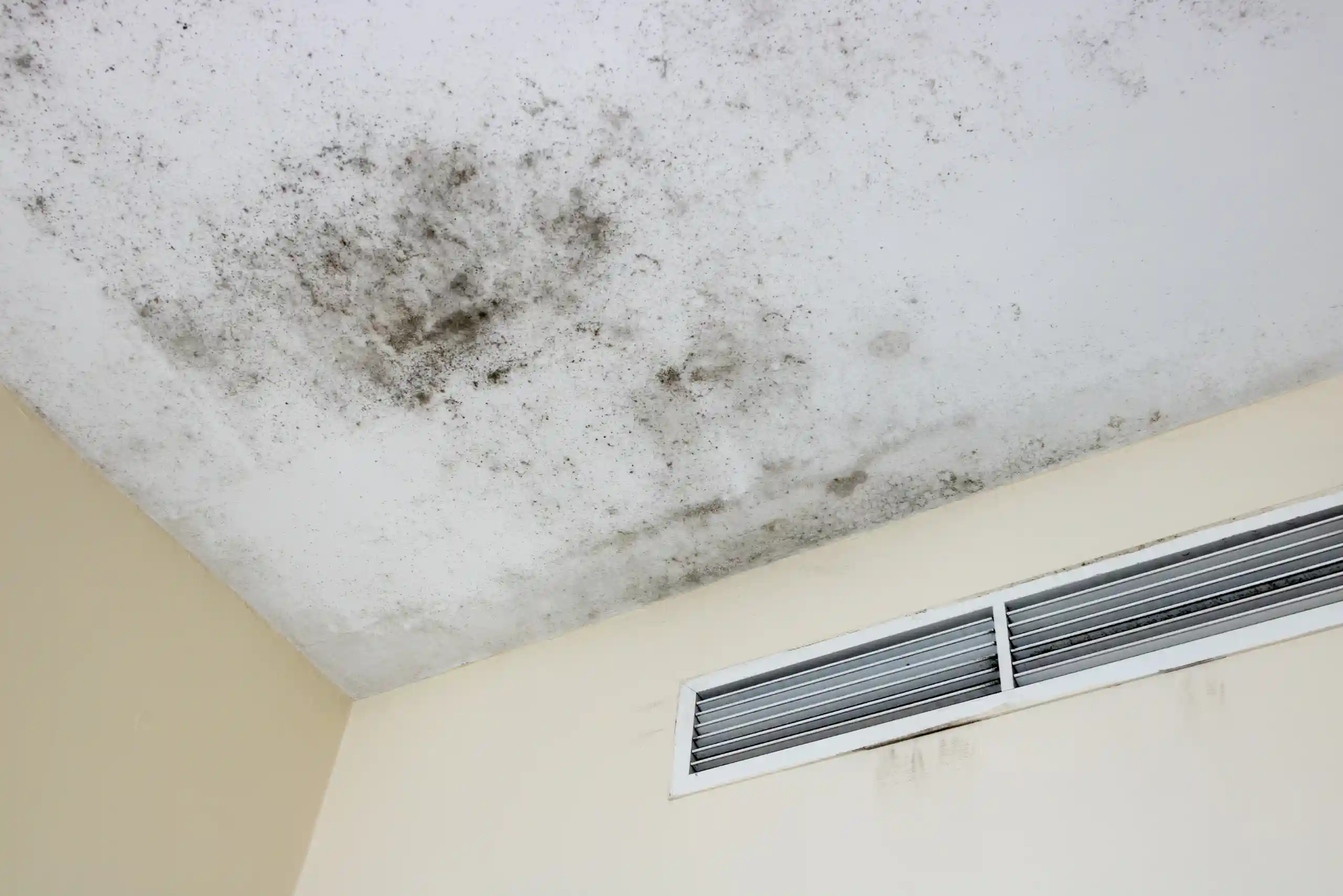 A ceiling with extensive black mold spots above a wall vent in a room with beige walls, often indicates moisture issues that could result from a recent pipe burst emergency. If you’re unsure what to do after a pipe burst, especially in regions like Pipe Burst Calgary, it’s important to address water damage promptly to prevent mold growth and further structural problems.